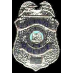 Albuquerque, New Mexico Police Department Badge Pin